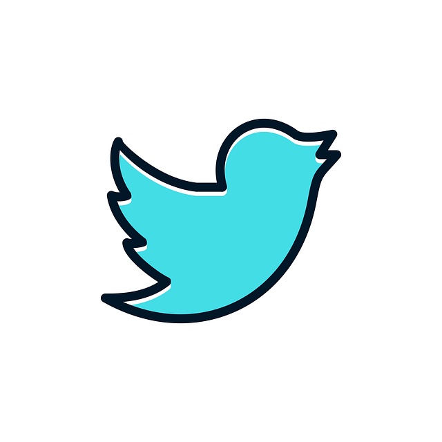 Twitter logo